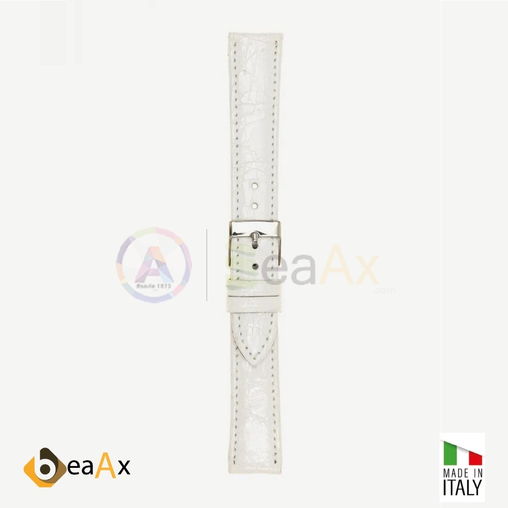Cinturino vero coccodrillo brasile Bianco fibbia acciaio - Made in Italy PP602-20