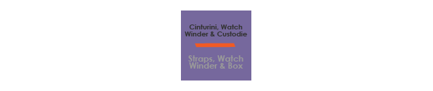 Watch Winder
